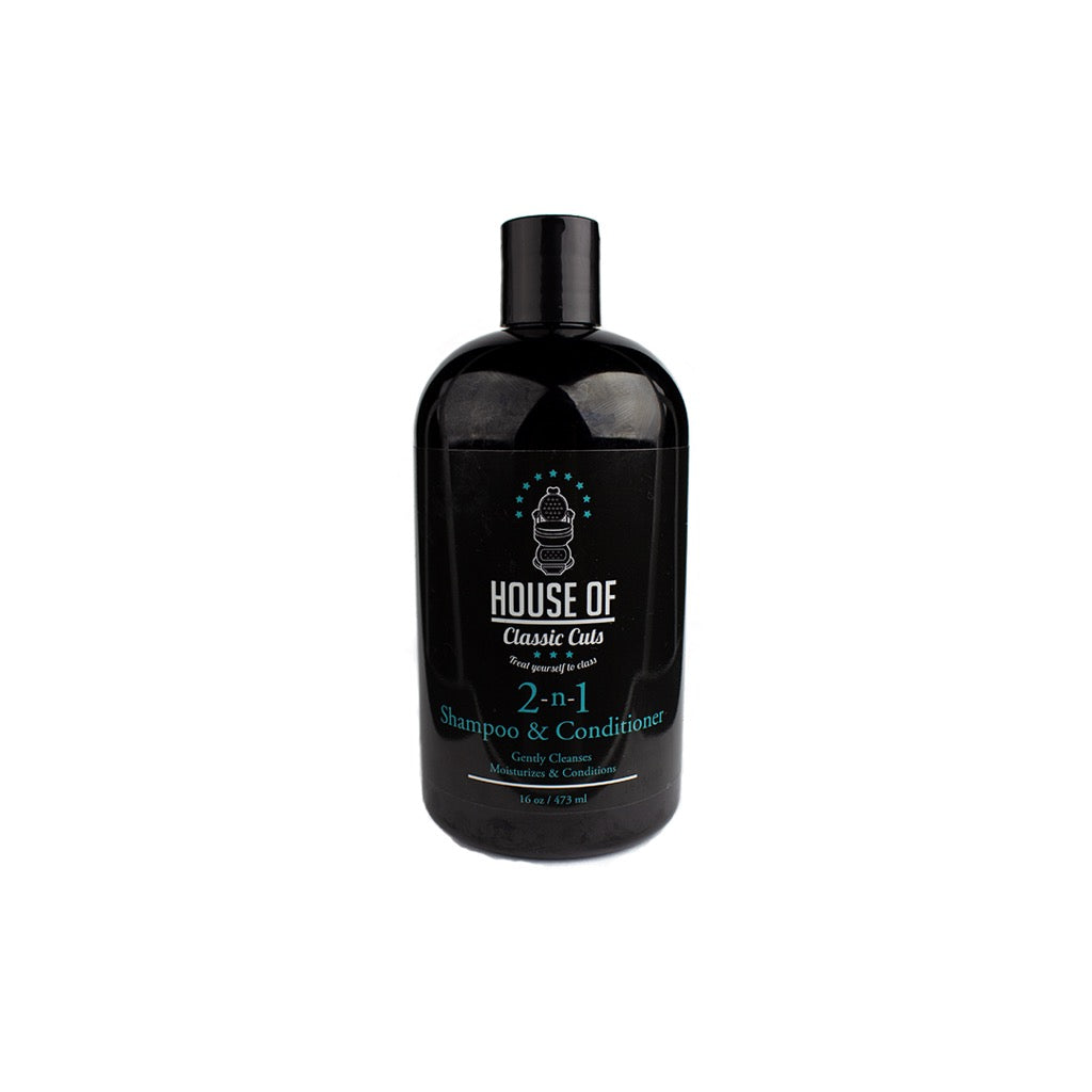2-n-1 Shampoo & Conditioner